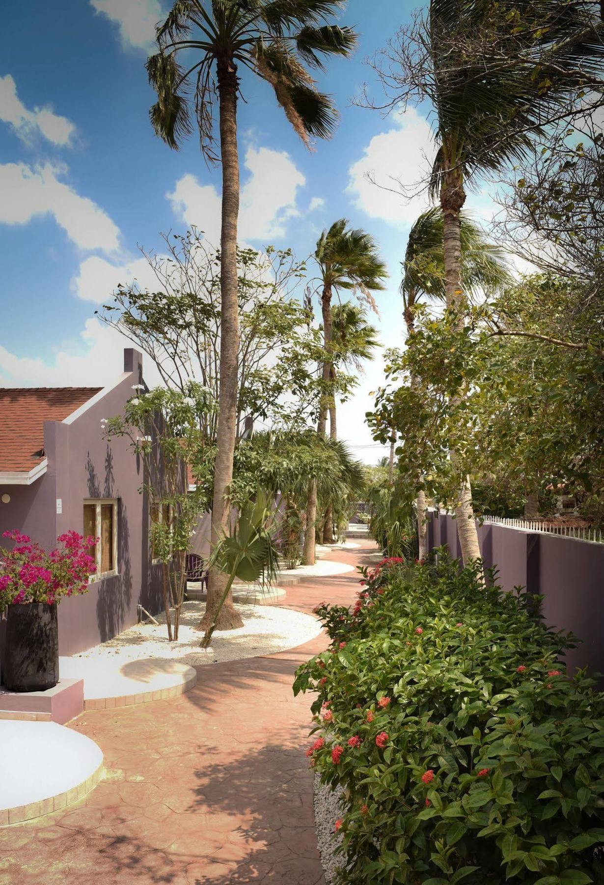 Cadushi Apartments Oranjestad Eksteriør bilde