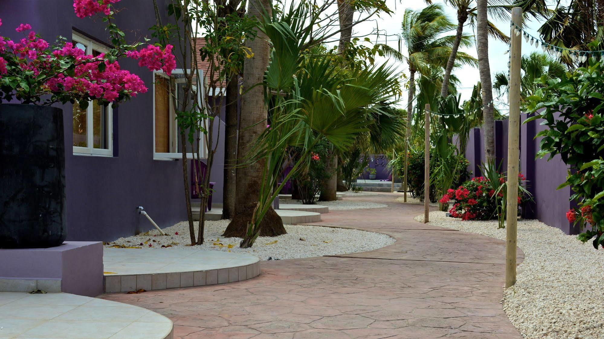 Cadushi Apartments Oranjestad Eksteriør bilde